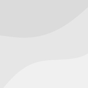 Traditional French Cuisine